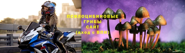 марки nbome Белокуриха