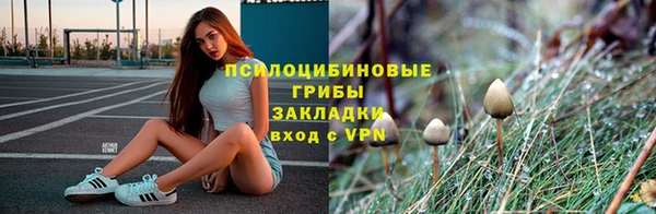 марки nbome Белокуриха