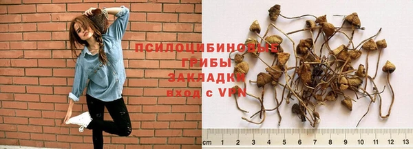 марки nbome Белокуриха